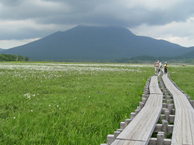 c0138182_11242165.jpg