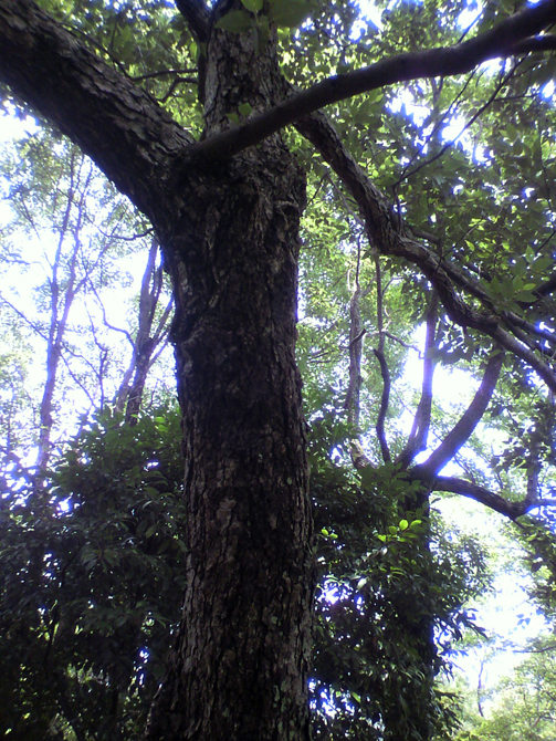 f0183484_926278.jpg