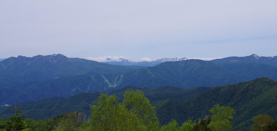 c0144185_13475848.jpg