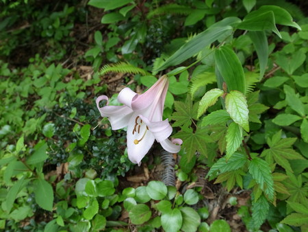 e0271890_1404686.jpg
