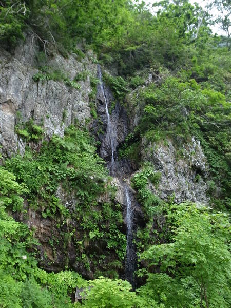 e0271890_1421949.jpg