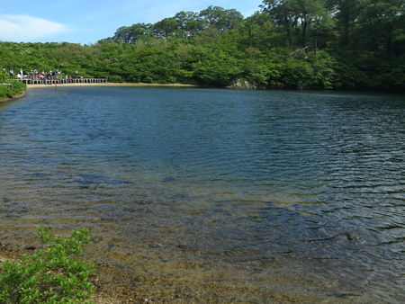 e0271890_1465578.jpg