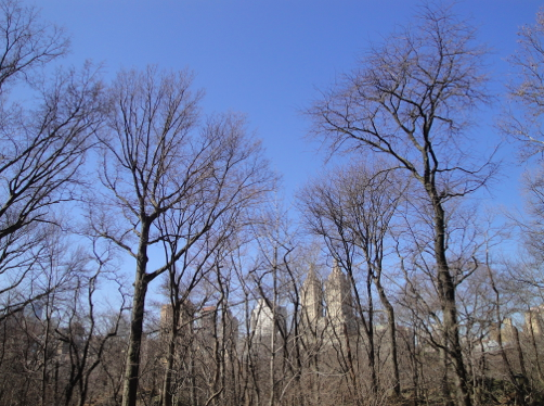 a0146493_22391483.png