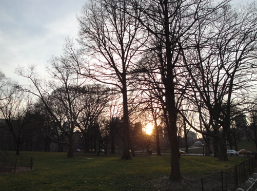 a0146493_22591571.png