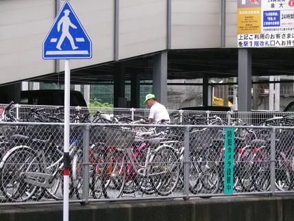 e0048994_855478.jpg