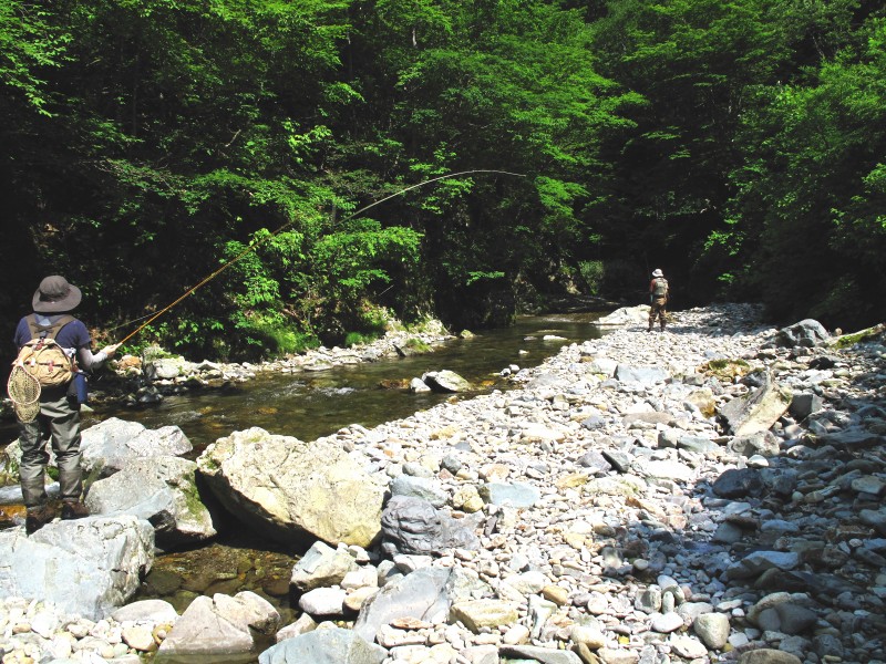 f0129994_2059081.jpg