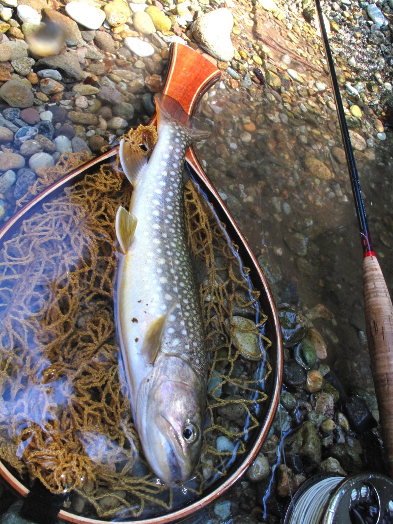 f0129994_2182261.jpg