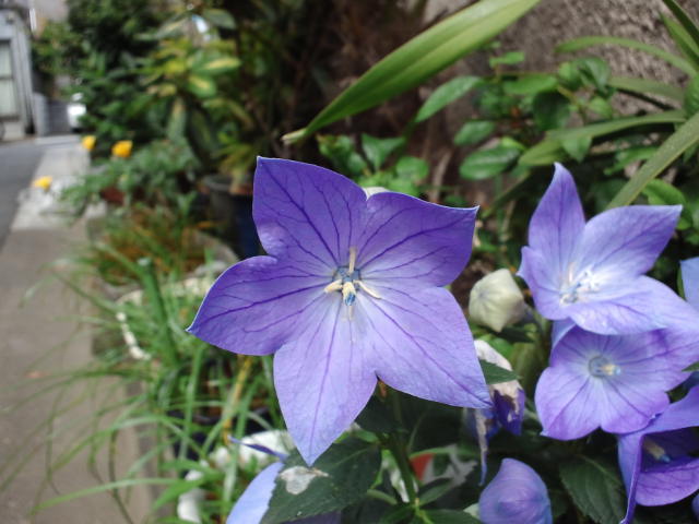 f0077595_15212513.jpg