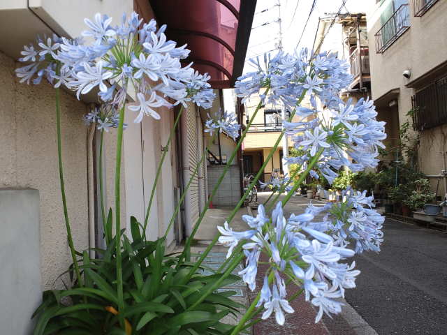 f0077595_15212572.jpg