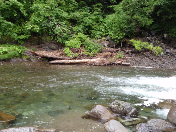 d0156298_7553731.jpg
