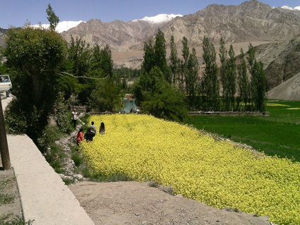 f0107398_23524990.jpg