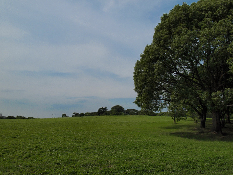 d0171803_21334746.jpg