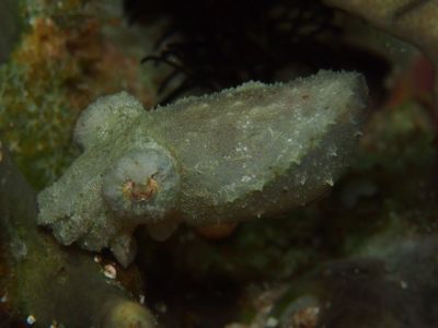 e0263905_145130.jpg