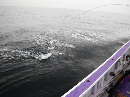 e0123808_2336943.jpg