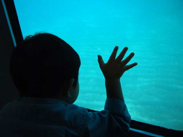 a0151615_2253299.jpg