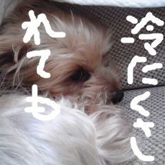 c0036617_15422395.jpg