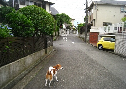 c0084117_21351642.jpg