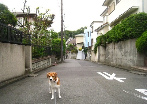 c0084117_21371975.jpg