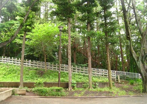 c0084117_21385035.jpg
