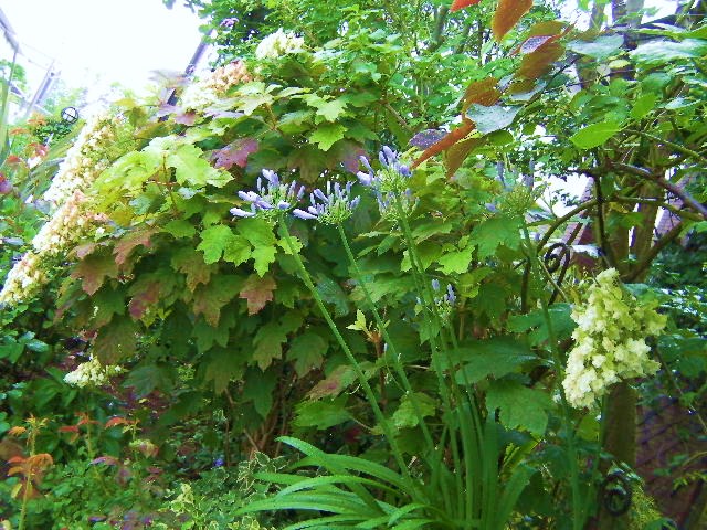 c0204121_6255523.jpg