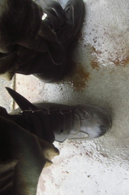c0102228_18523272.jpg