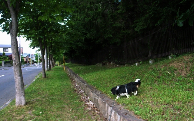 c0051132_20581874.jpg
