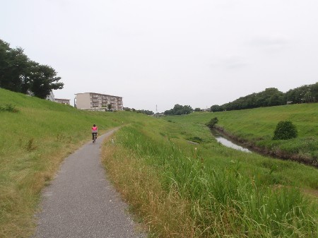 d0107938_14543237.jpg
