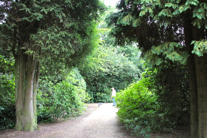 c0153740_056121.jpg