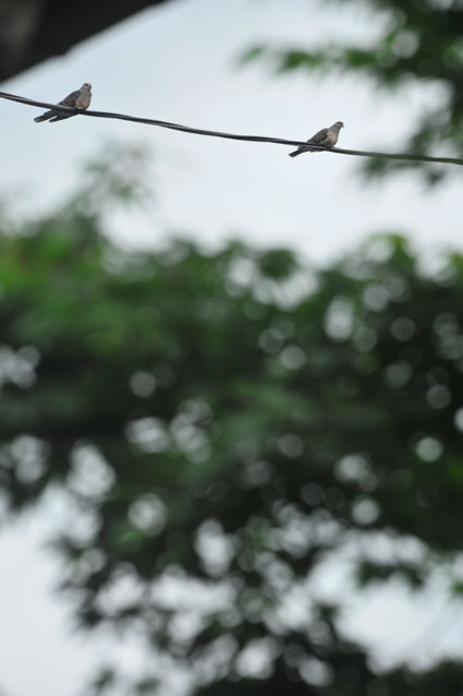 b0075541_203159100.jpg