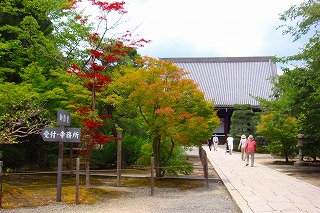 b0200747_19151556.jpg