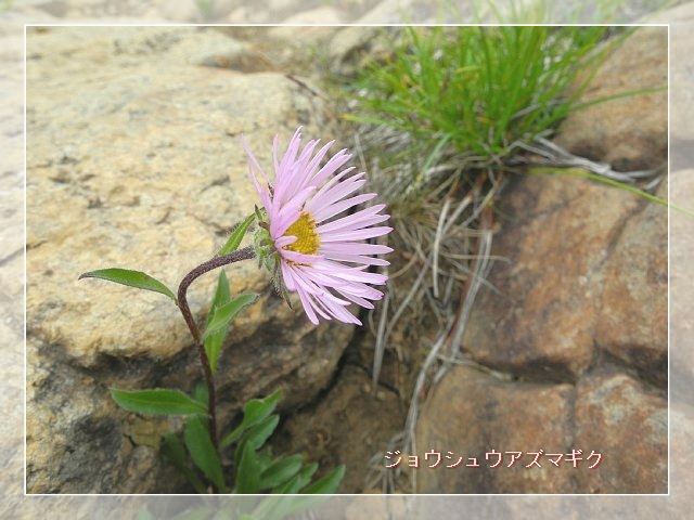 b0122448_21553097.jpg
