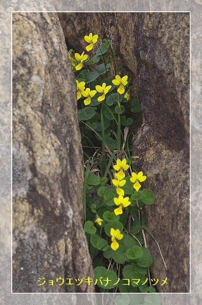 b0122448_21555128.jpg