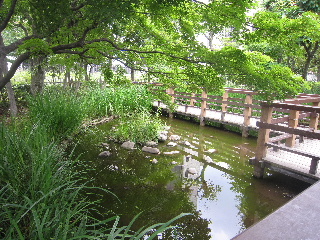 d0063149_20453240.jpg
