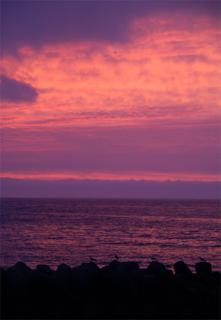 f0214649_5113875.jpg