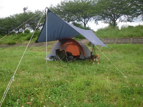 f0046250_22541977.jpg