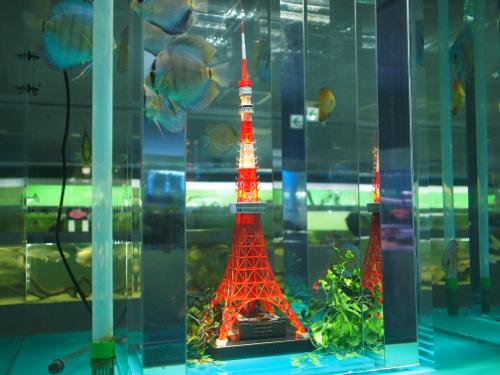 f0035251_1622442.jpg