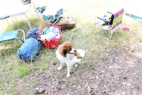 e0255354_15275799.jpg