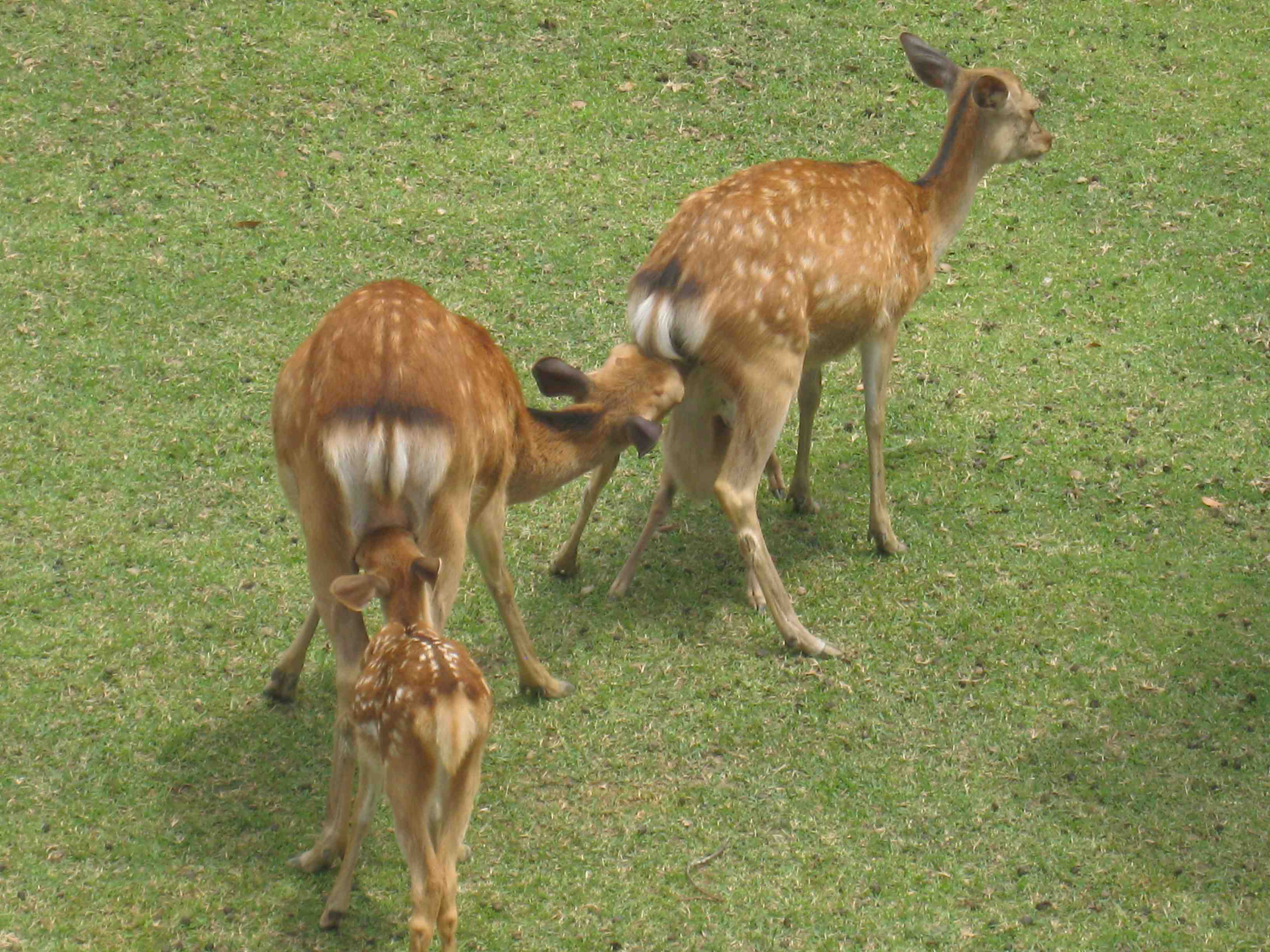 f0233356_739644.jpg