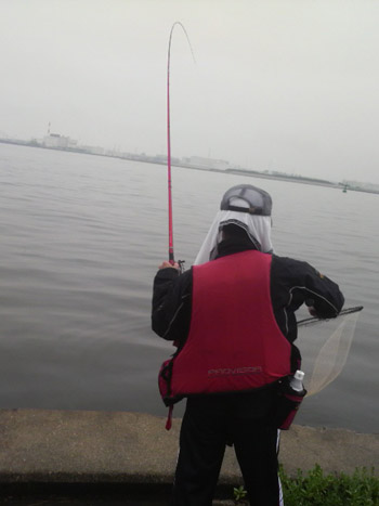 b0176757_2391096.jpg