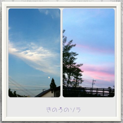 d0081357_10263999.jpg