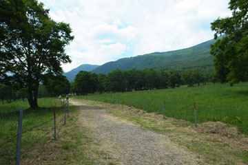 a0083760_165655.jpg