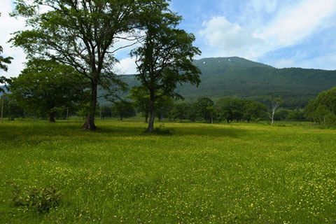 a0083760_17422021.jpg