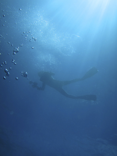 b0062363_18424983.jpg