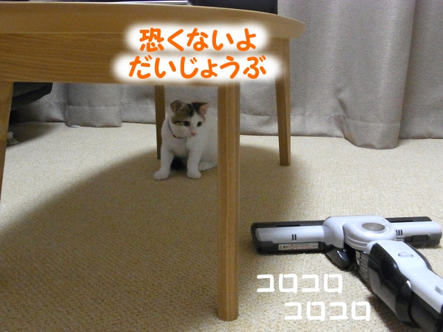 a0266372_21533285.jpg