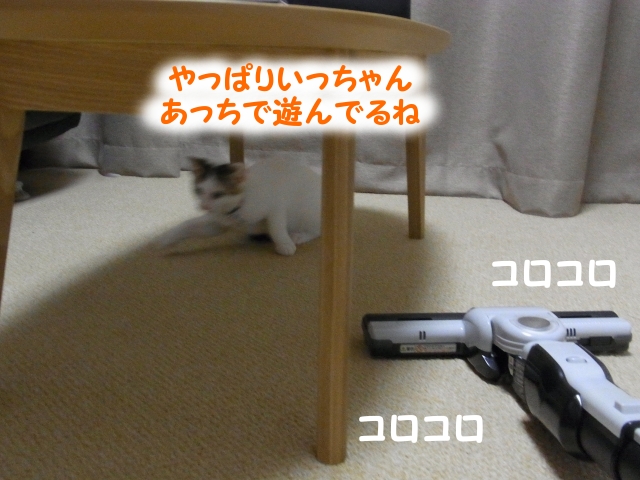 a0266372_21542353.jpg