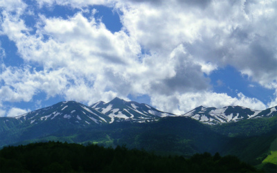 f0182173_1431258.jpg