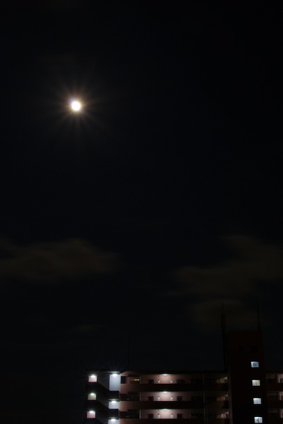 a0189883_22595746.jpg