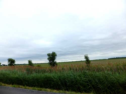 b0122883_1423461.jpg