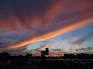 e0271890_1145825.jpg