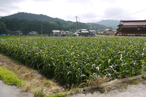 f0222692_1936360.jpg